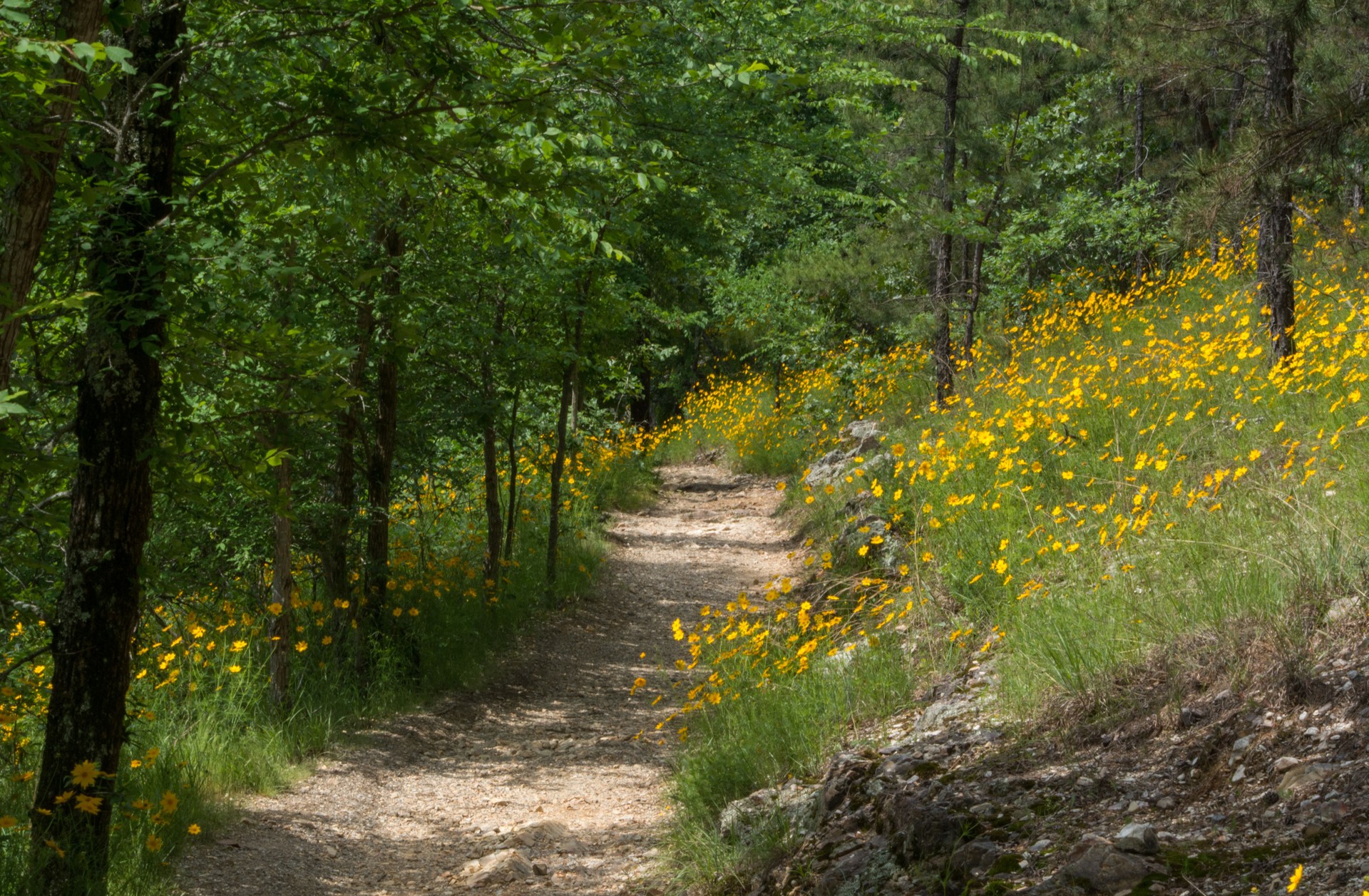 Hot Springs National Park hiking trail